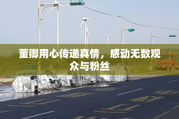 董卿用心传递真情，感动无数观众与粉丝