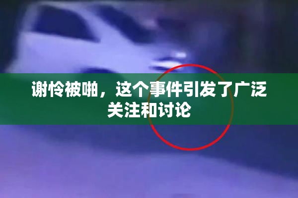 谢怜被啪，这个事件引发了广泛关注和讨论