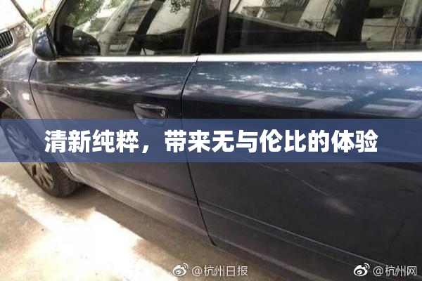清新纯粹，带来无与伦比的体验