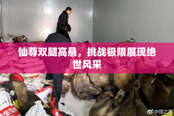 仙尊双腿高悬，挑战极限展现绝世风采