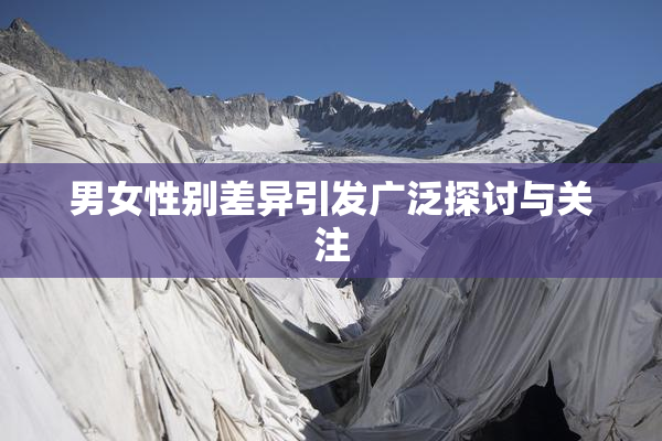 男女性别差异引发广泛探讨与关注