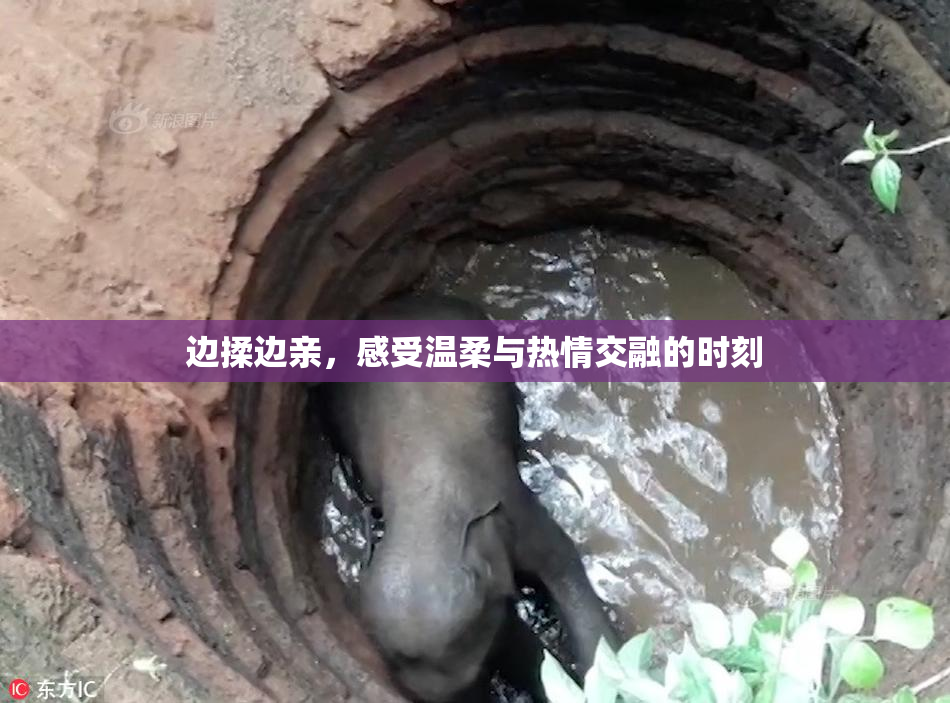 边揉边亲，感受温柔与热情交融的时刻