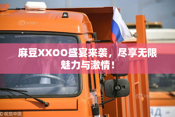 麻豆XXOO盛宴来袭，尽享无限魅力与激情！