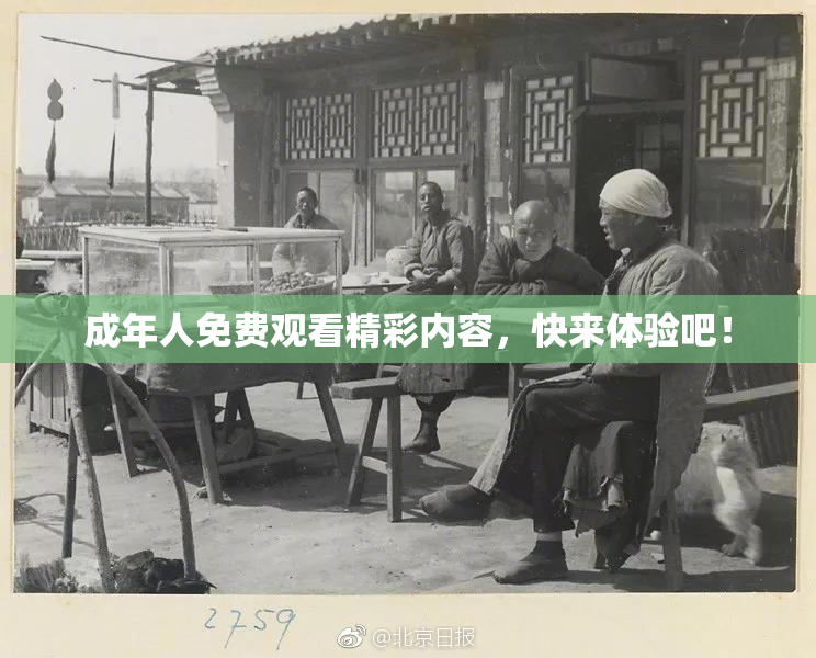 成年人免费观看精彩内容，快来体验吧！