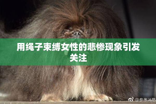 用绳子束缚女性的悲惨现象引发关注