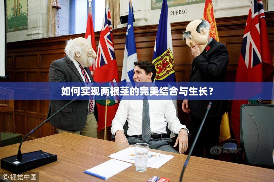 如何实现两根茎的完美结合与生长？