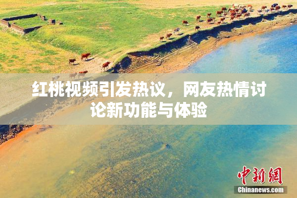红桃视频引发热议，网友热情讨论新功能与体验