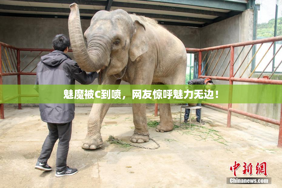 魅魔被C到喷，网友惊呼魅力无边！