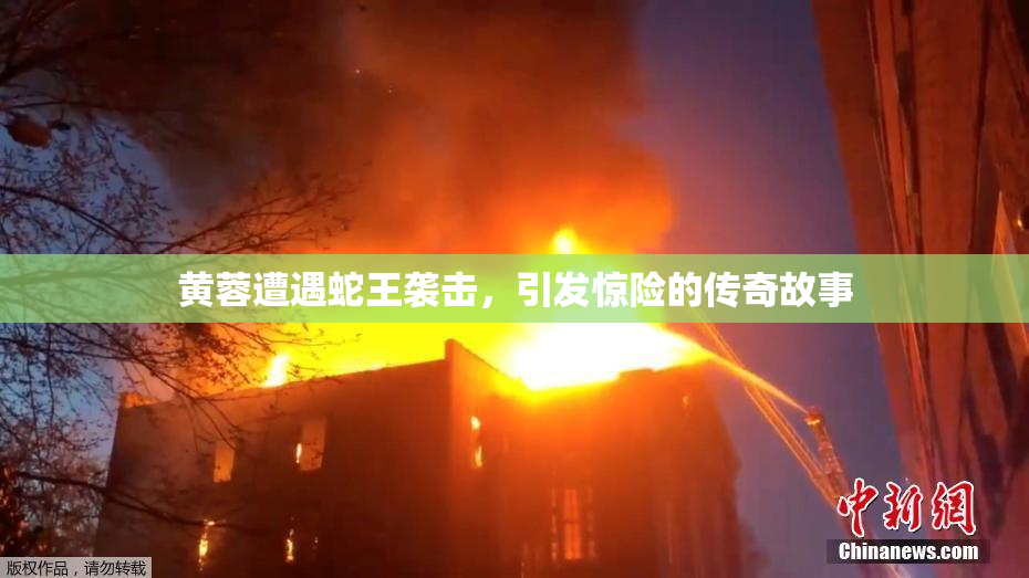 黄蓉遭遇蛇王袭击，引发惊险的传奇故事