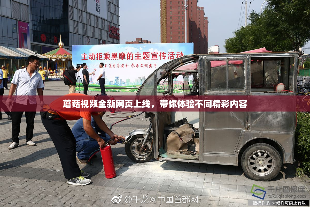 蘑菇视频全新网页上线，带你体验不同精彩内容