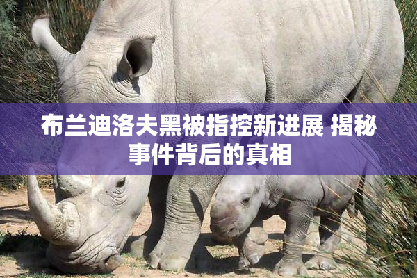 布兰迪洛夫黑被指控新进展 揭秘事件背后的真相