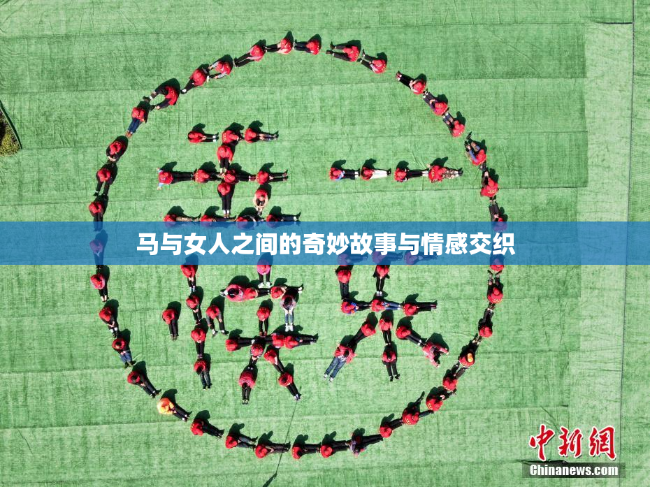 马与女人之间的奇妙故事与情感交织