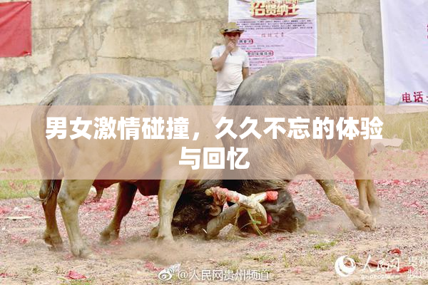 男女激情碰撞，久久不忘的体验与回忆