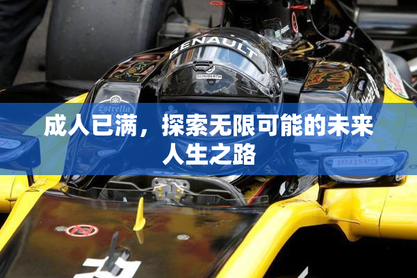 成人已满，探索无限可能的未来人生之路