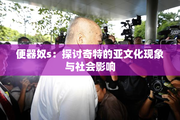 便器奴s：探讨奇特的亚文化现象与社会影响