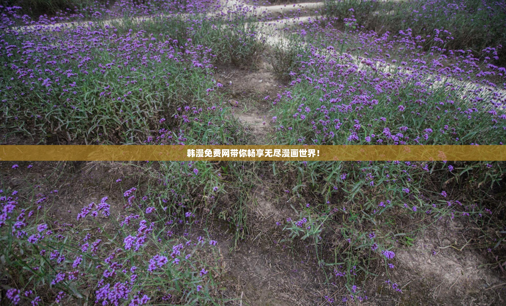 韩漫免费网带你畅享无尽漫画世界！