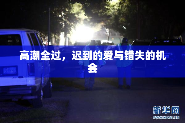 高潮全过，迟到的爱与错失的机会