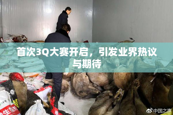 首次3Q大赛开启，引发业界热议与期待