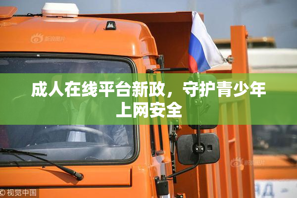 成人在线平台新政，守护青少年上网安全