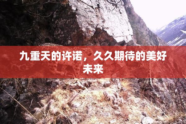 九重天的许诺，久久期待的美好未来