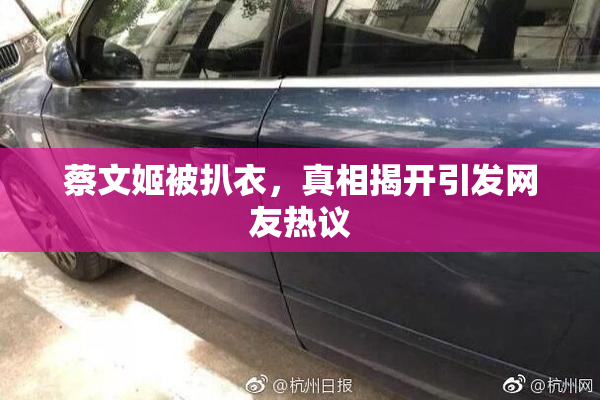 蔡文姬被扒衣，真相揭开引发网友热议