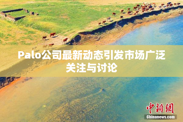 Palo公司最新动态引发市场广泛关注与讨论