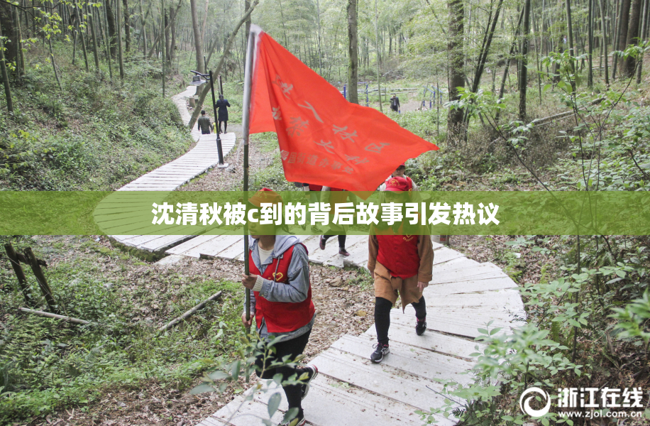 沈清秋被c到的背后故事引发热议
