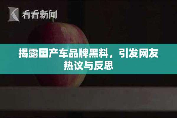 揭露国产车品牌黑料，引发网友热议与反思