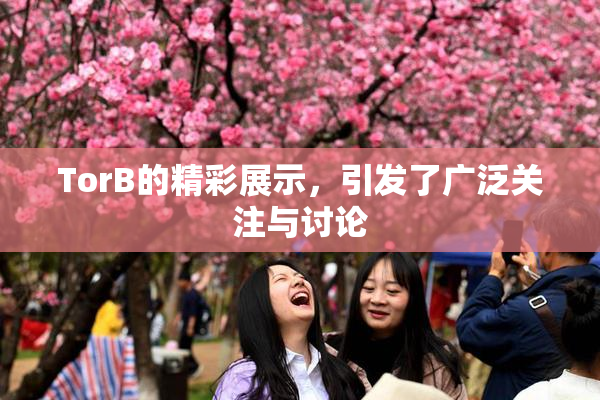 TorB的精彩展示，引发了广泛关注与讨论