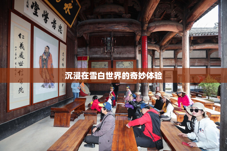 沉浸在雪白世界的奇妙体验