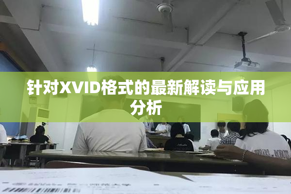 针对XVID格式的最新解读与应用分析
