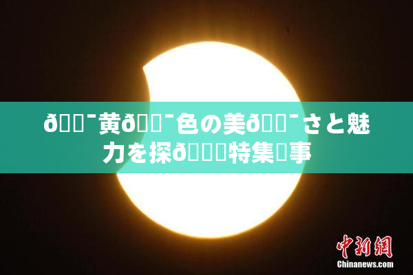 🔯黄🔯色の美🔯さと魅力を探🌃特集記事