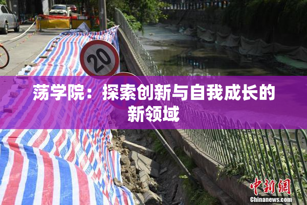 荡学院：探索创新与自我成长的新领域