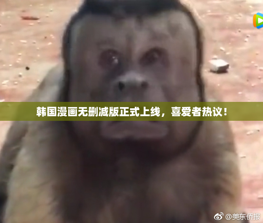 韩国漫画无删减版正式上线，喜爱者热议！