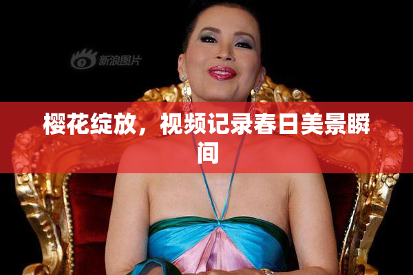 樱花绽放，视频记录春日美景瞬间