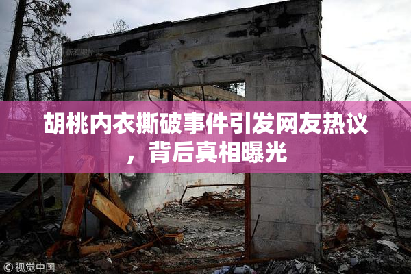 胡桃内衣撕破事件引发网友热议，背后真相曝光