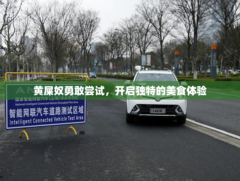 黄屎奴勇敢尝试，开启独特的美食体验