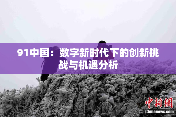 91中国：数字新时代下的创新挑战与机遇分析