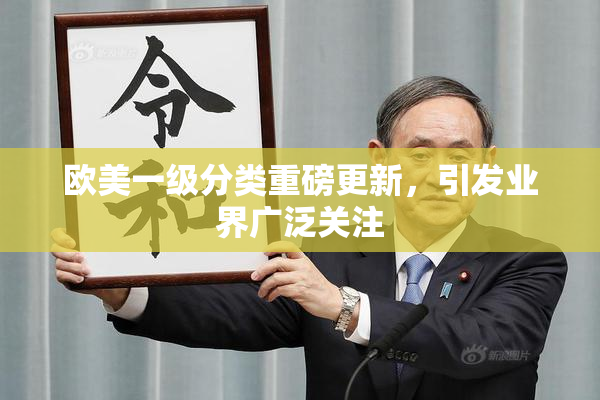 欧美一级分类重磅更新，引发业界广泛关注