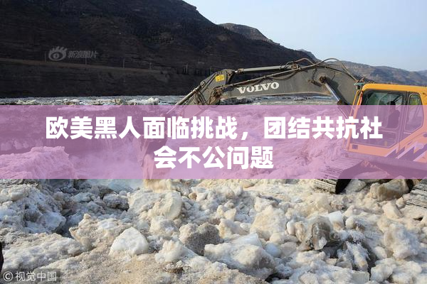 欧美黑人面临挑战，团结共抗社会不公问题