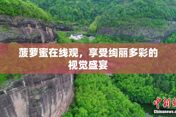 菠萝蜜在线观，享受绚丽多彩的视觉盛宴