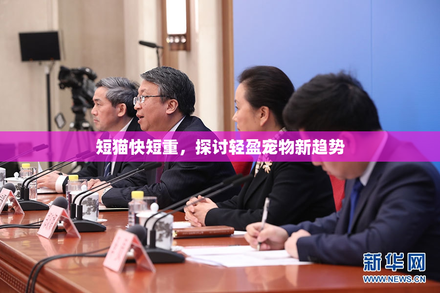 短猫快短重，探讨轻盈宠物新趋势