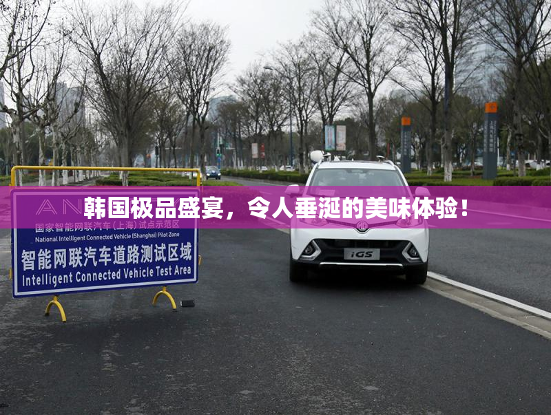 韩国极品盛宴，令人垂涎的美味体验！