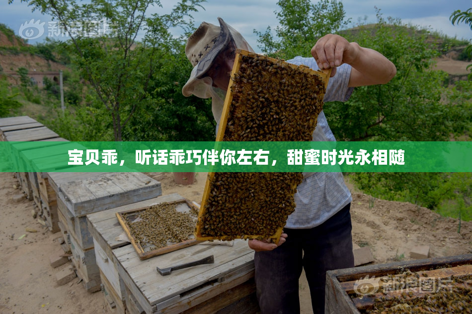 宝贝乖，听话乖巧伴你左右，甜蜜时光永相随
