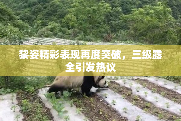 黎姿精彩表现再度突破，三级露全引发热议