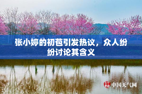 张小婷的初苞引发热议，众人纷纷讨论其含义