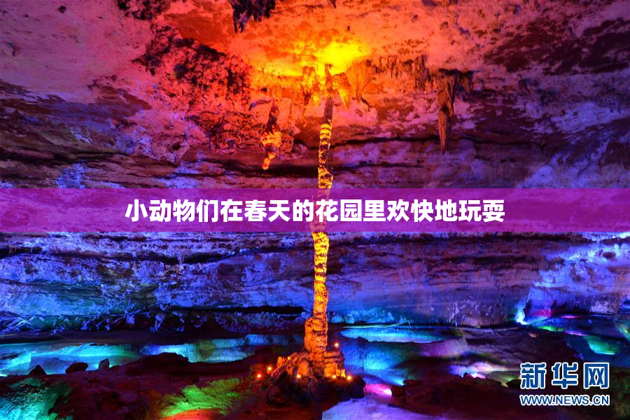 小动物们在春天的花园里欢快地玩耍