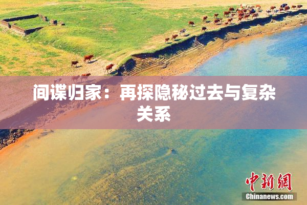 间谍归家：再探隐秘过去与复杂关系