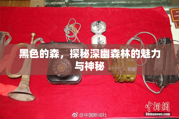 黑色的森，探秘深幽森林的魅力与神秘