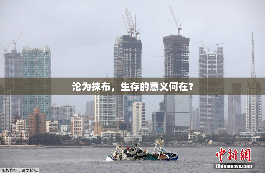 沦为抹布，生存的意义何在？